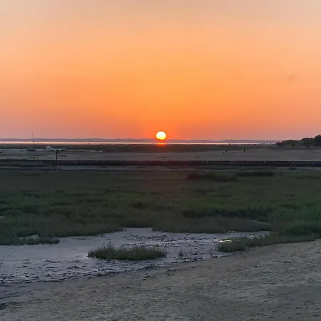Appartement Loft Vue Bassin Arcachon Marina De Cassy *