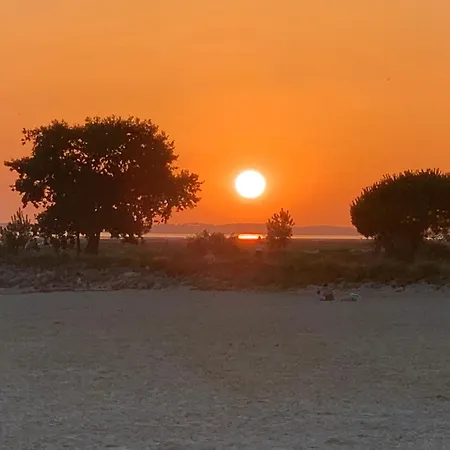 Loft Vue Bassin Arcachon Marina De Cassy Lanton